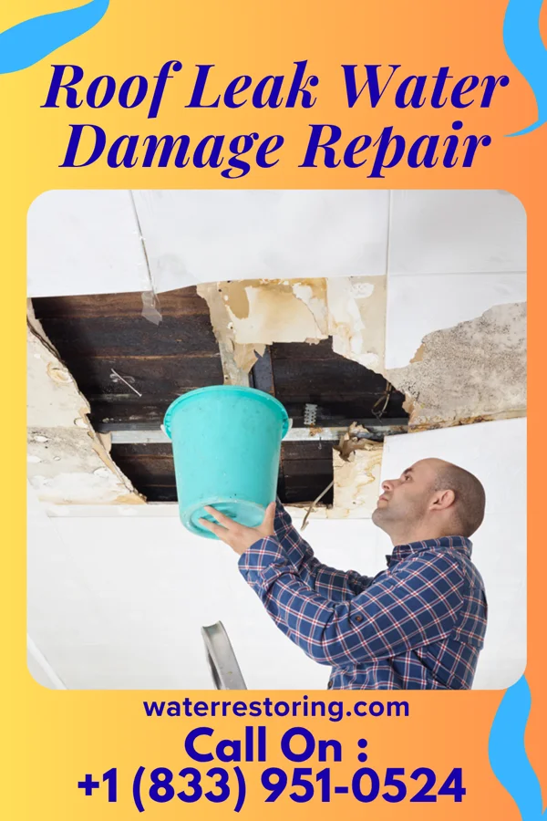 Roof Leak Water Damage Repair in Elburn, IL