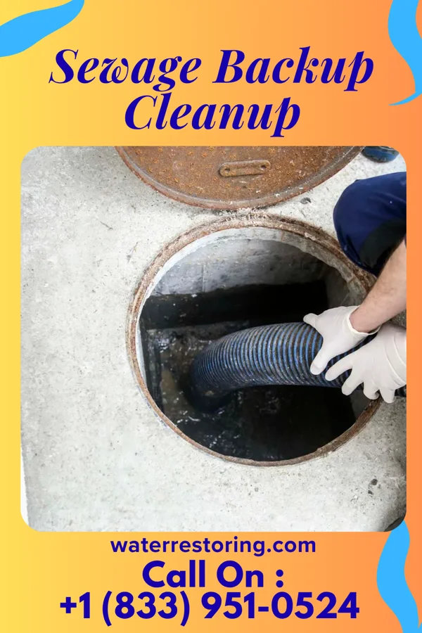 Sewage Backup Cleanup in Elburn, IL