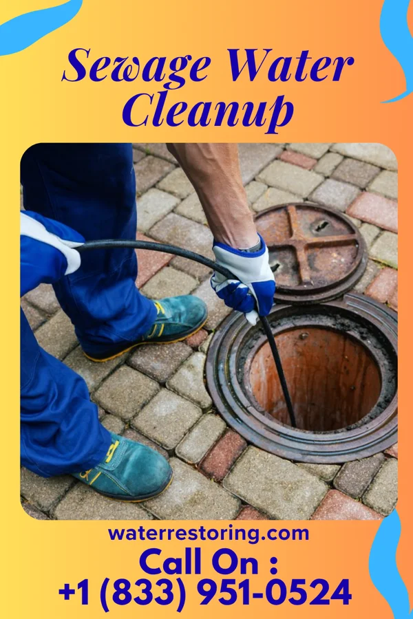 Sewage Water Cleanup in Elburn, IL